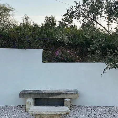 Olivi Motovun