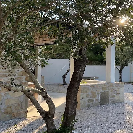 Olivi